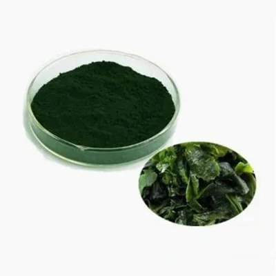 Spirulina dondoo